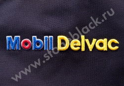 Спортивная сумка Mobil Delvac