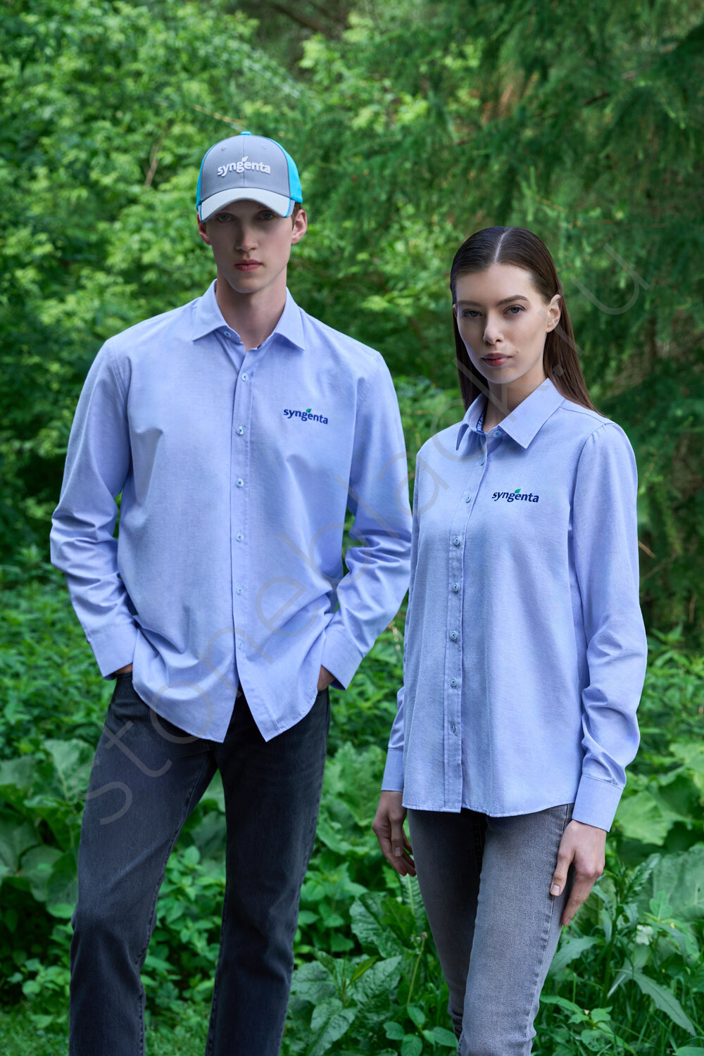 Сорочки Syngenta