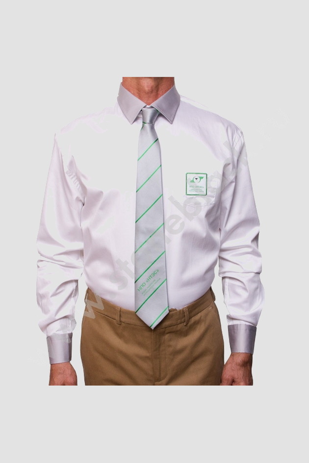 Галстуки НПО &quot;НТЭС&quot;