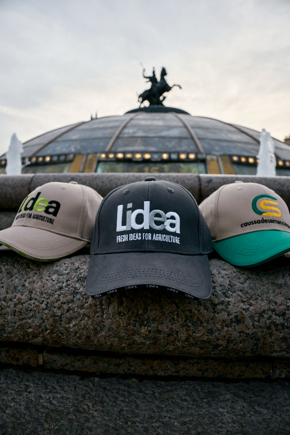 Бейсболки<br>Lidea серые